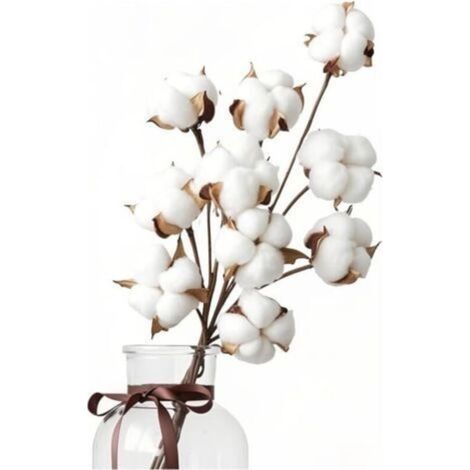 10 Natural Dried Cotton Flowers + 5 Cotton Head Flowers, Bouquet Dried Cotton Flowers, Cotton Branches, Fake Dried Plants for Balcony, Home, Table, Floral Arrangements, Weddings