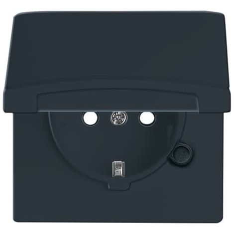 Busch-Jaeger Enchufe SCHUKO® inserto Safety+ con tapa abatible antracita - Allwetter 44® (IP44) (20 EUGKB-35-101), 2CKA002064A0295