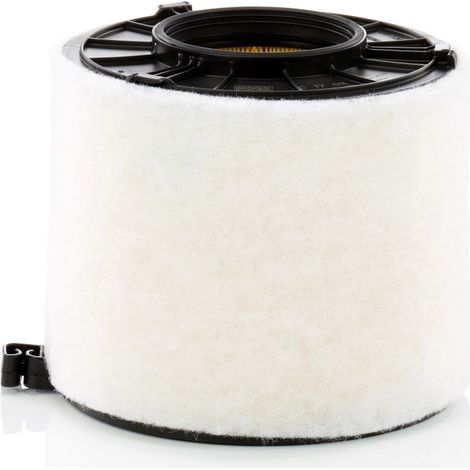 Filtro de aire C17011 Mann