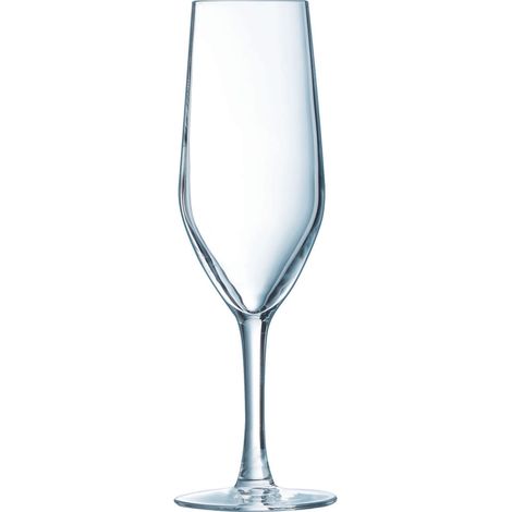 Evidence - 6 flûtes 16 cl (1/3)