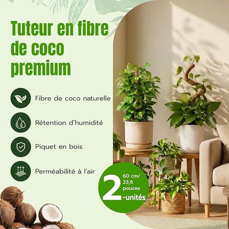 Tuteur Monstera 60 cm, Tuteur Plante Grimpante Pliable (1/4)