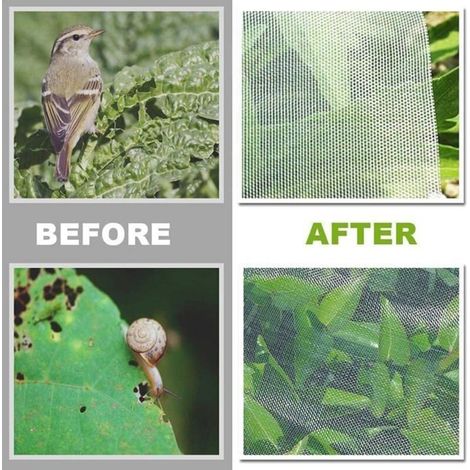 Insektenschutznetz, 2,5 x 10 m, Maschengewebe für Garten, Gemüsebeet und Gemüse (1/4)
