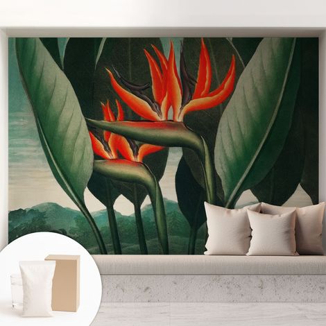 Fototapete - Tapete Vliestapete mit Kleber - Wandtapete Moderne Wandbild Schlafzimmer Wohnzimmer Exotische Blumen 208x146 cm (1/5)