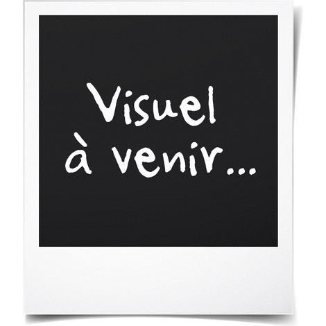 Double décimètre - ULMANN - 500 mm - Blanc - Avec poignée