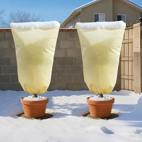 Non-woven winter plant cover 80 g/m² 240x200 cm, frost protection for pots and roses (1/4)