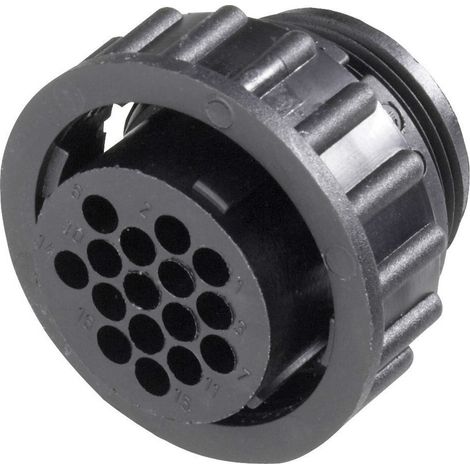 TE Connectivity 182647-1 Rundstecker Buchse, gerade Gesamtpolzahl: 4 Serie (Rundsteckverbinder): CPC