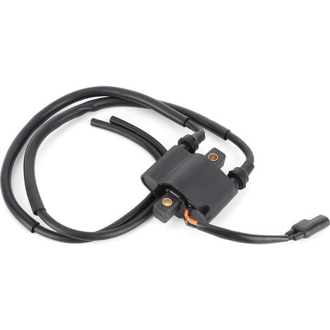 Zündspule Auto Motorrad Ersatzteil 4010898 für Polaris Sportsman 600 700 2004 2005 2006 (1/5)