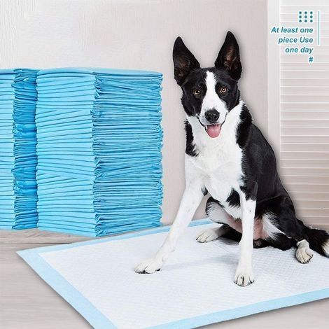 Apprentissage de La propreté pour Chien Ultra Absorbant Tapis de Dressage pour Animaux de Compagnie Tapis Éducateurs pour Chiot et Chat 33 x 45cm, Lot de 100 (1/5)