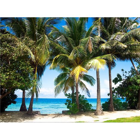 papier peint panoramique paysage tropical avec des palmiers vert et bleu  - Sanders & Sanders