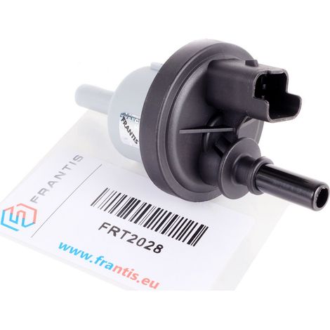 ELETTROVALVOLA PER VAPORI DI CARBURANTE EVAP (1/5)