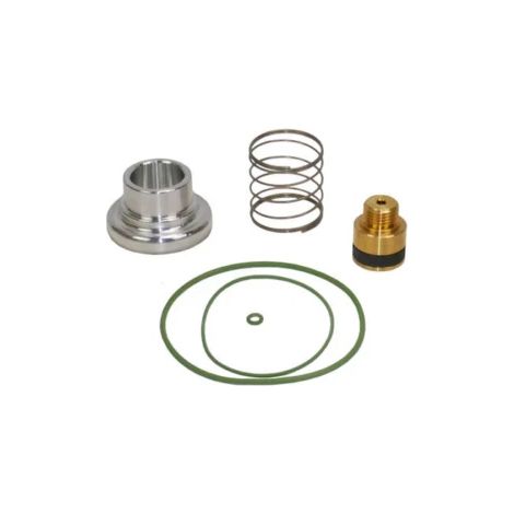 Kit de remplacement clapet d'aspiration IR10/30/30DC (1/3)