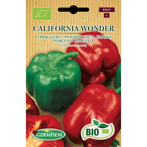 Graines Poivron doux CALIFORNIA WONDER