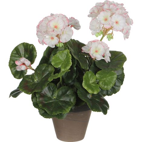 MICA Decorations Large 950218 Flores, Geranium Grandes, Multicolor, One Size