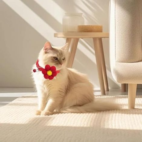 Collier fleuri pour chat (lot de 3), collier mignon pour chaton, collier pour chat avec clochette, colliers pour chats réglables de 19 à 32 cm, convient à la plupart des chats domestiques (1/3)