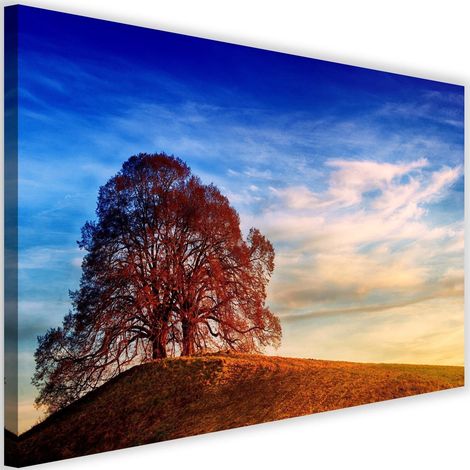 Tableau sur toile Arbre sur une colline Nature 60x40 (1/5)