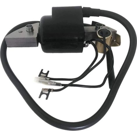 Bobine d'allumage, Pack haute tension, Bobine d'allumage G150 G200 G300 G400 Bobine d'allumage (1/3)