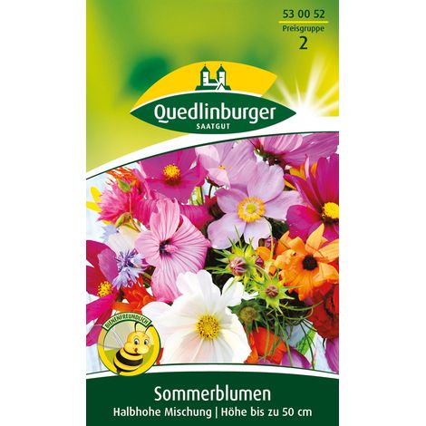 Quedlinburger Saatgut – Fleurs d'été mi-hautes en mélange – Graines de fleurs, hauteur env. 50 cm, environ 3 m² (1/2)