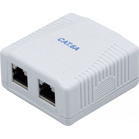 DEXLAN BOITIER MURAL 2 PORTS CAT6A (273263)