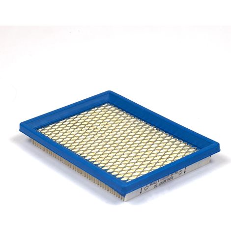 Filtro de aire para cortacésped BRIGGS & STRATTON 192005 397795S