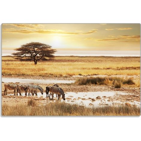Planche à découper en verre Wallario 20 x 30 cm avec pieds antidérapants, motif Safari en Afrique : un troupeau de zèbres au bord de l'eau