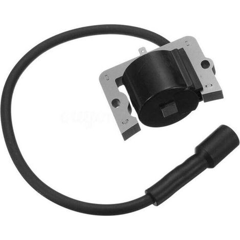Bobine d'allumage compatible avec les moteurs CH11 14 et CV11 14, compatible avec les références 12 584 04 S 1258404, accessoire moteur de remplacement en métal (1/4)