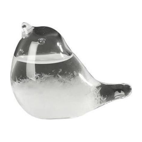 chercher - Bouteille Baromètre De Tempête En Verre En Forme D'oiseau, Décoration De Prévision Météo Intéressa (1/4)
