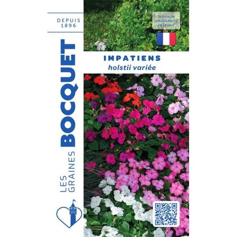 Impatiens Hoolstii variée - 0,2g