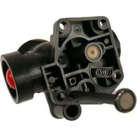FENOPLASTICACarburateur Briggs Stratton sur réservoir 498811 (1/3)