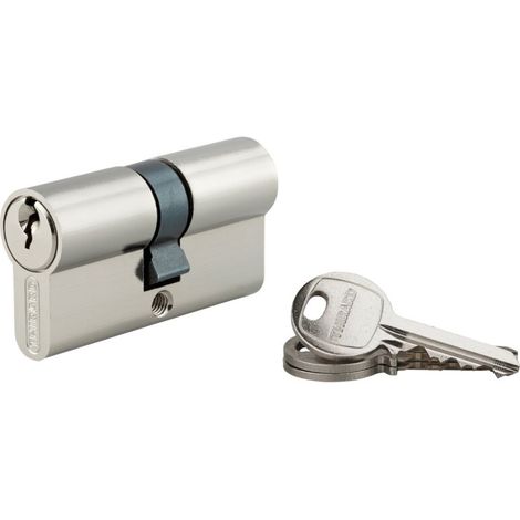 Cylindre à clé crantée 30 x 30 mm 3 clés avec vis de 45 mm nickelé (1/3)