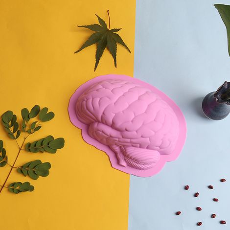 Moule de cuisson en Silicone pour cerveau d'halloween, moule de cuisine pour crème glacée (1/5)