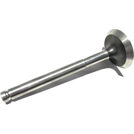 Valvola aspirazione motore Ruggerini RD80, RD850 compatibile