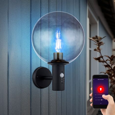 Außenwandleuchte LED Wandlampe mit Bewegungsmelder Wandleuchte Edelstahl anthrazit Glaskugel rauch, App Steuerung CCT, Smart RGB LED 8,5W 806Lm, LxBxH 26,5x25x37 cm