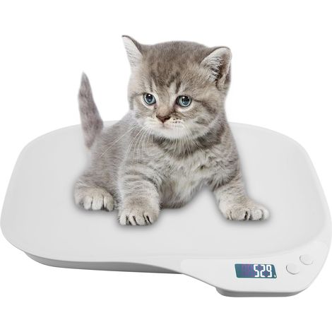 Balance numérique pour petits animaux et nourriture électronique, 15 kg (g/oz/lb/ml), pesée pour chatons, chiots, hamsters, petits oiseaux, lapins, animaux domestiques (1/5)