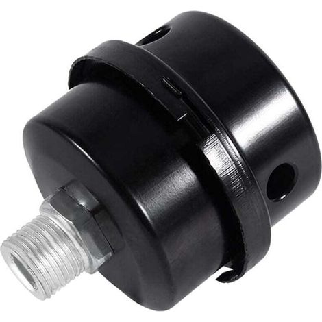 Silencieux pour Compresseur d'Air,Silencieux de Filtre de Compresseur d'Air 13mm pour Utiliser dans l'Entrée du Compresseur d'Air et Bloquer la Poussière Réduire le Noise (1/4)