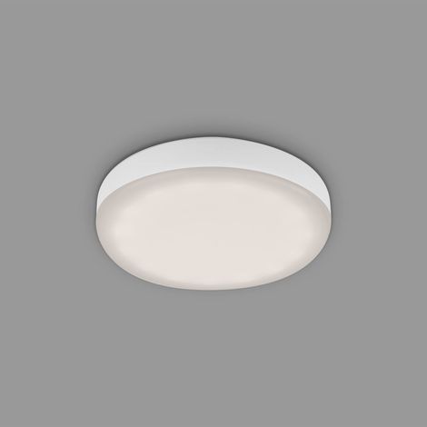 Plat faretto d.7 (1/4)