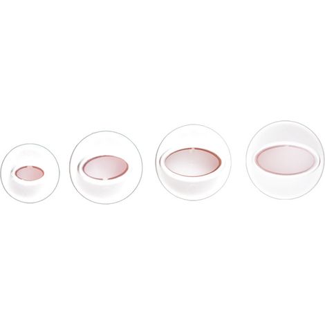 Emporte-pièce Fondant - Moule à Décoration Gâteau en Plastique Alimentaire ABS - Formes Fleurs Feuilles Papillons Cœurs - Lot de 6 (1/5)
