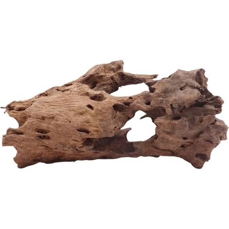 M Honey Comb Wurzel Nr.5197 Holz Deko Aquascaping