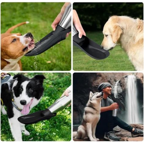 Gourde pour chien - yd - 750 ml - Pliable à 180° - Acier inoxydable - Anti-fuite (1/4)