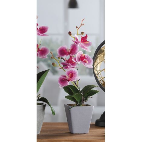 VASO CON ORCHIDEA D.8XH34CM IN 4 COLORI CON 5 FIOR (1/5)