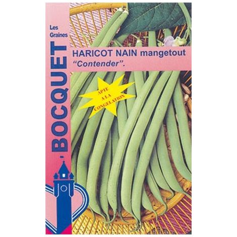 Haricot nain mangetout Contender - 120g (1/2)