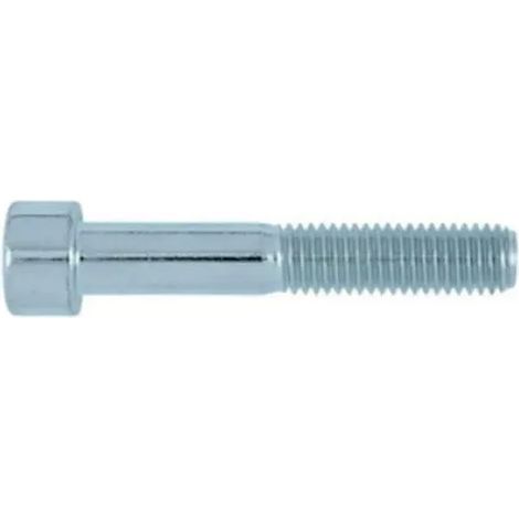 Vite Select CHC3X25ZING acciaio 3x25 mm