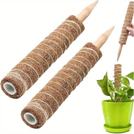 Tuteur Mousse 40cm 2pcs Empilable pour Plantes Grimpantes Monstera Pothos Philodendron Support Coco Pot Intérieur Durable