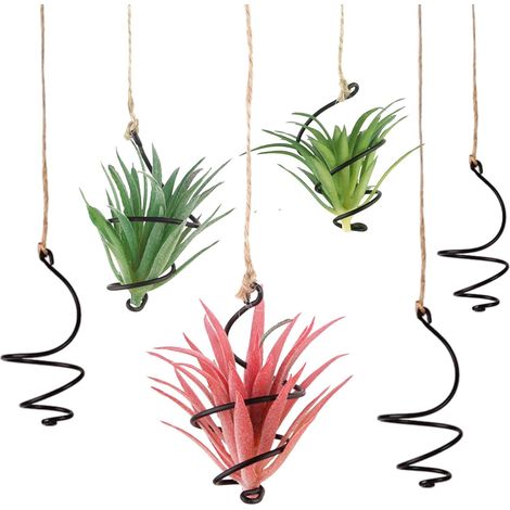 Set de 6 Porte-Plantes Suspendus, Supports pour Plantes aériennes avec Cordes en Jute, Présentoir pour Plantes aériennes sans Terre pour la Maison et Le Bureau (1/5)