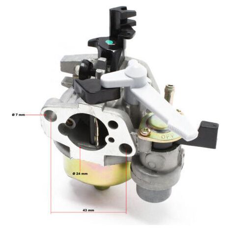 Pièce détachée LIFAN Carburateur pour moteur à essence 6,5 CV (1/3)