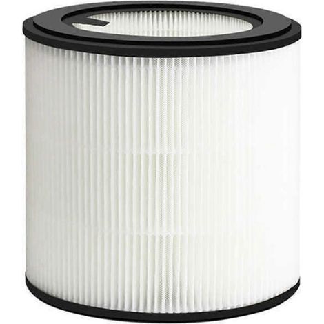 Filtre à air A pour purificateur d'air série 800 FY0194 (1/5)