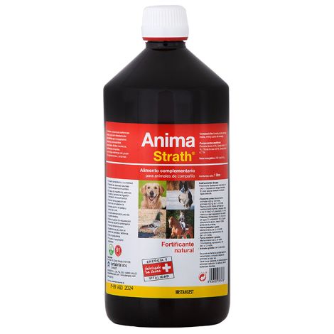 Stangest Anima Strath 240CPD