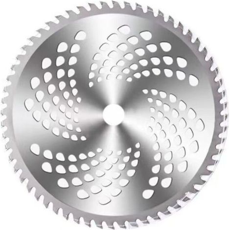 Lot de 2 lames circulaires 10 pouces 60 dents – Acier inoxydable pour débroussailleuse – Coupe nette des broussailles – Compatible avec Husqvarna. Stihl. Ego (1/5)
