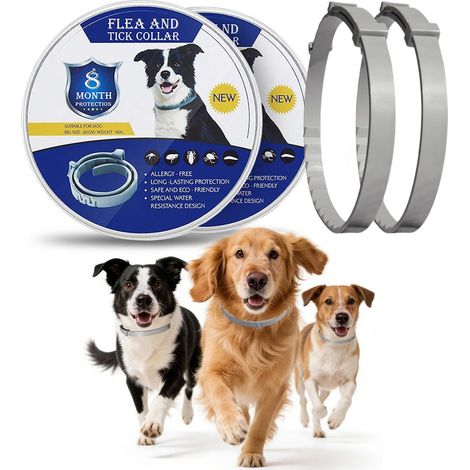 Collier antiparasitaire pour Chien, 2 Pièces, Imperméable et Ajustable, Huiles Essentielles Naturelles, Protection 16 Mois (1/5)