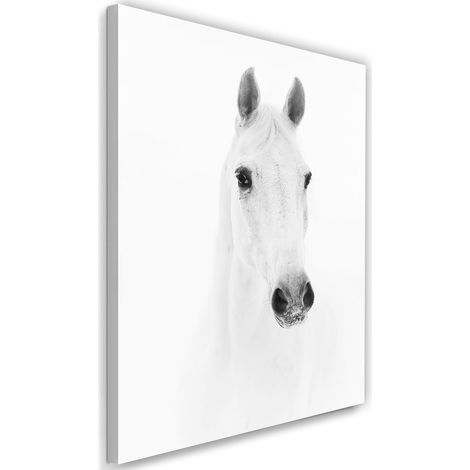 Tableau sur toile Cheval Animaux Nature Blanc 40x60
