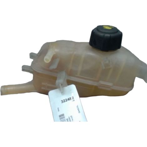 [PRODUIT D'OCCASION] Vase Expansion RENAULT Megane III 2008- ♻️ Ref Oe. 217100005r - Garantie à vie (1/3)